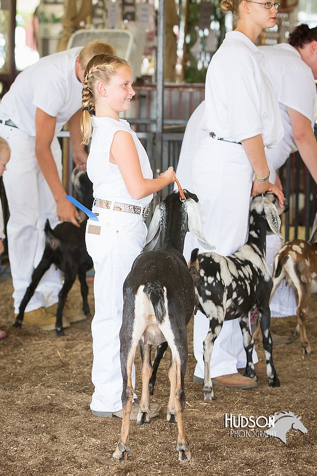 LCFAIR15-0839.jpg