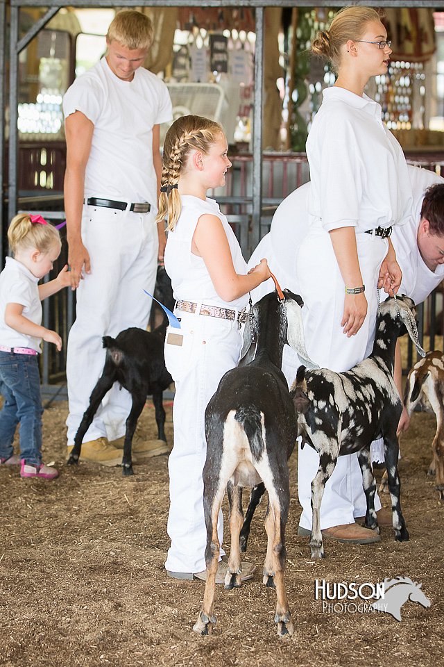 LCFAIR15-0841.jpg