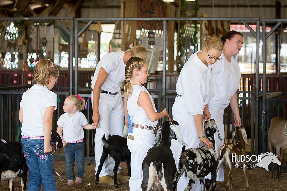 LCFAIR15-0842.jpg