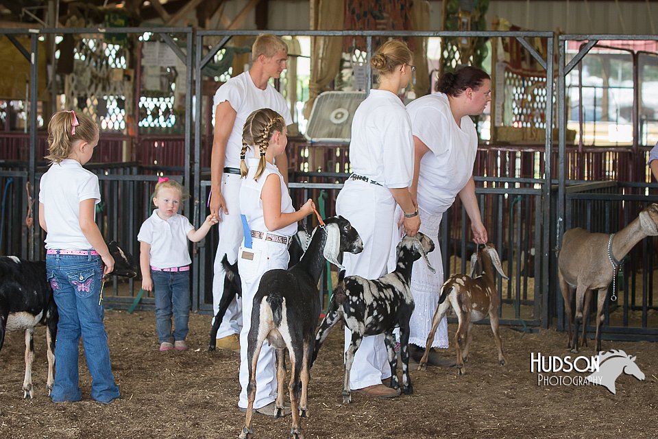 LCFAIR15-0843.jpg