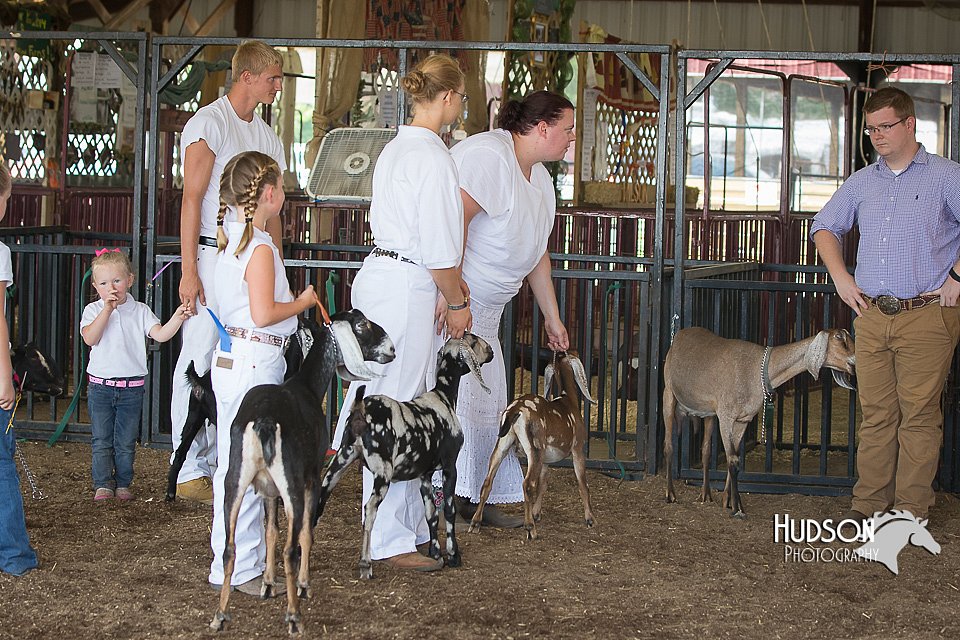 LCFAIR15-0844.jpg