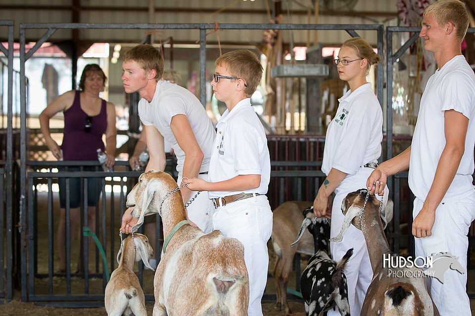 LCFAIR15-0847.jpg