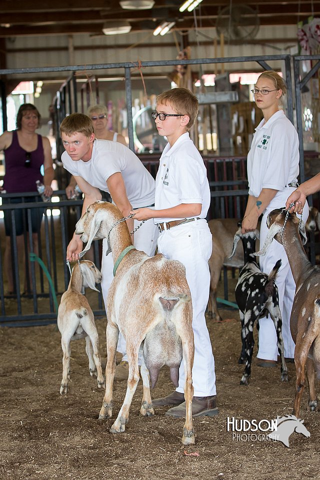 LCFAIR15-0848.jpg