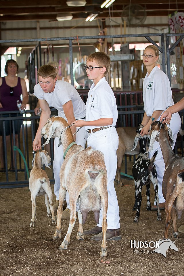 LCFAIR15-0849.jpg