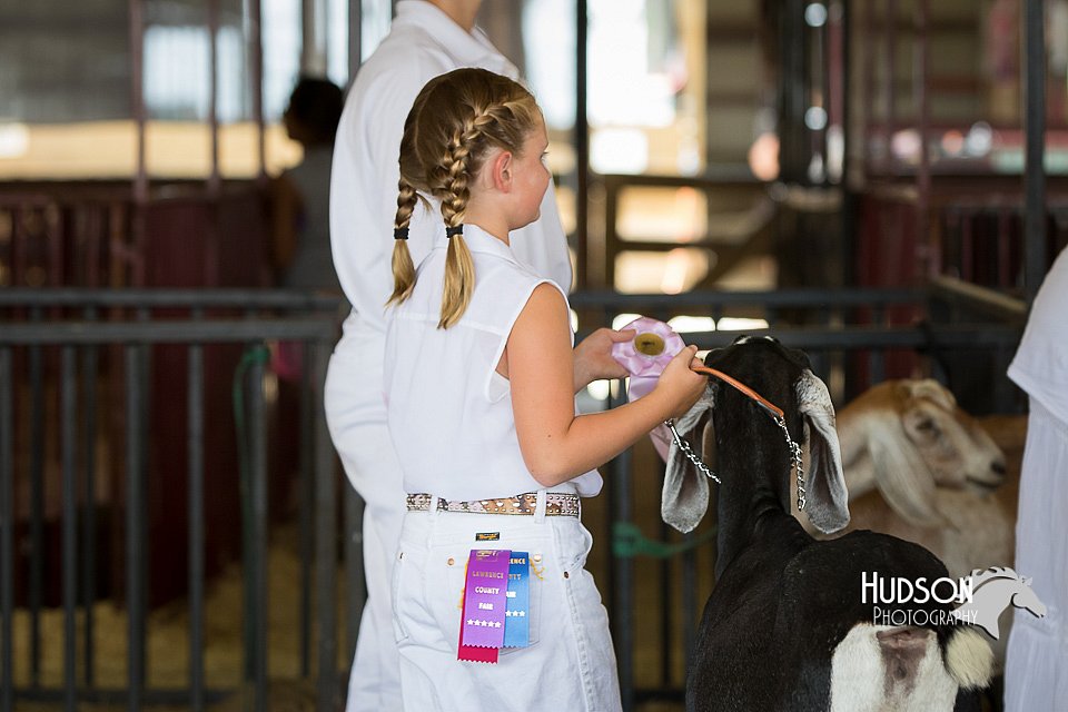 LCFAIR15-0857.jpg