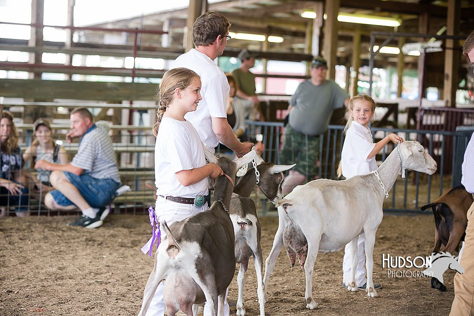 LCFAIR15-0960.jpg