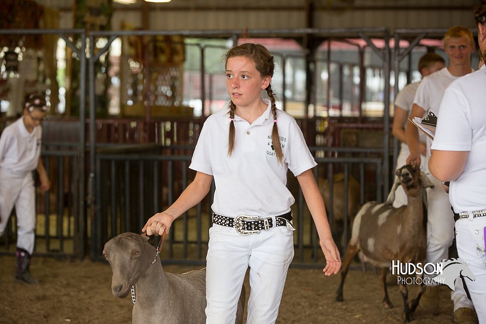 LCFAIR15-0966.jpg