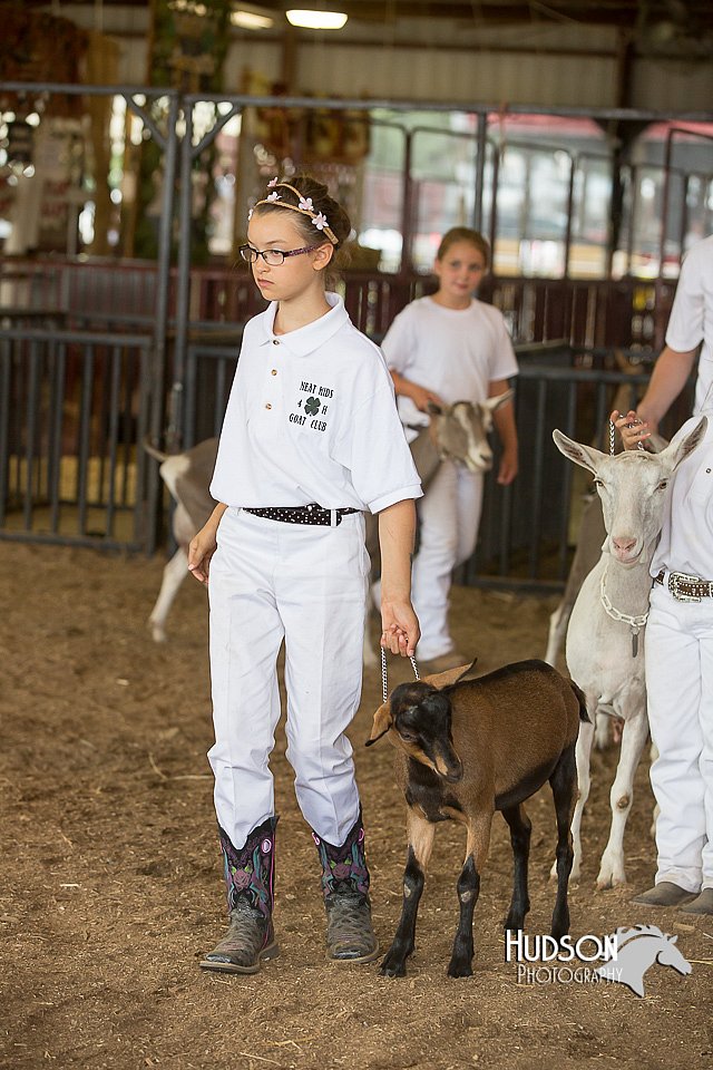 LCFAIR15-0969.jpg
