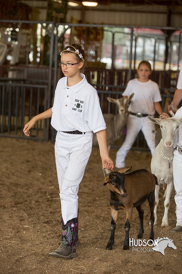 LCFAIR15-0970.jpg