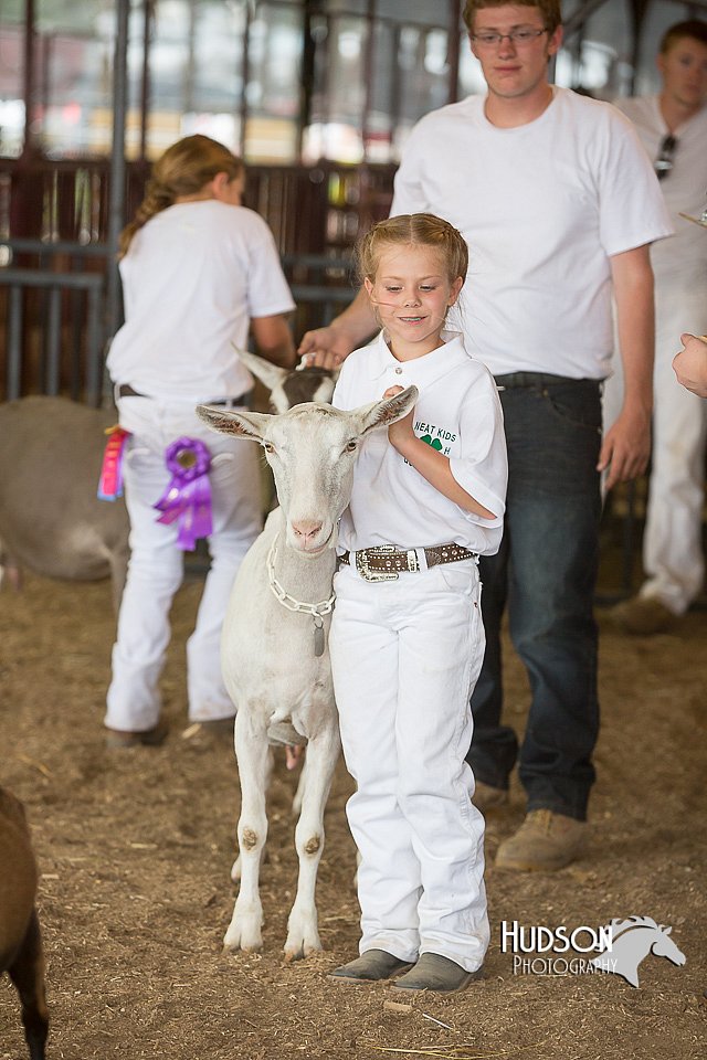 LCFAIR15-0971.jpg