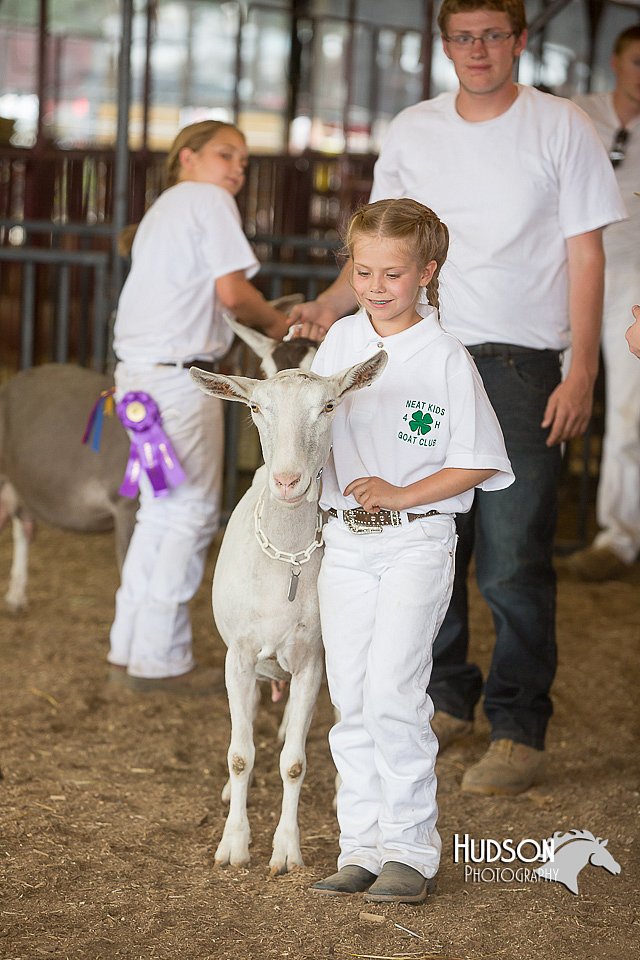 LCFAIR15-0972.jpg