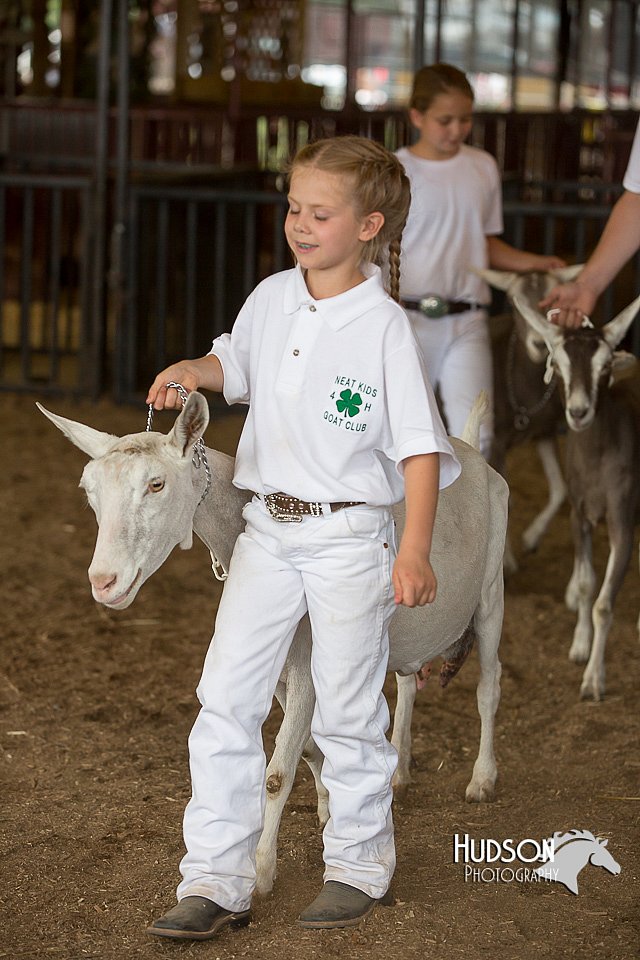 LCFAIR15-0973.jpg