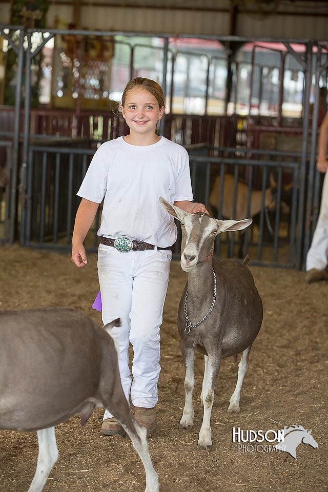 LCFAIR15-0976.jpg
