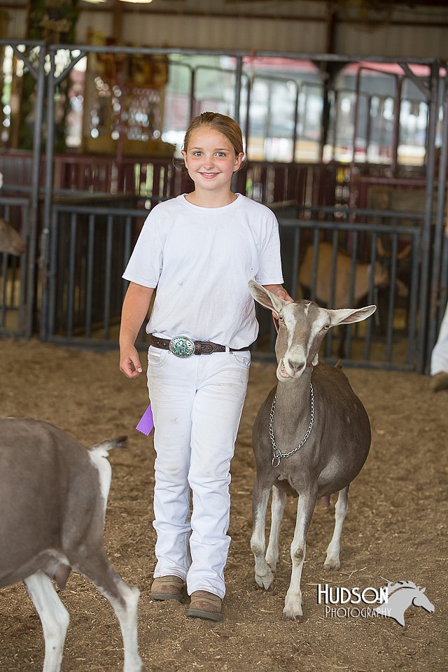 LCFAIR15-0977.jpg
