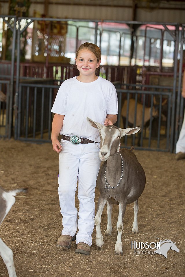 LCFAIR15-0978.jpg