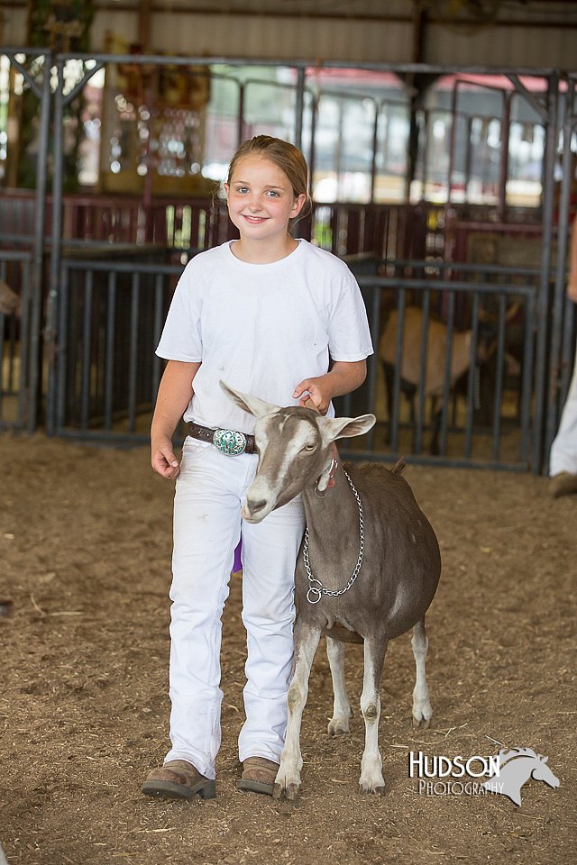LCFAIR15-0979.jpg