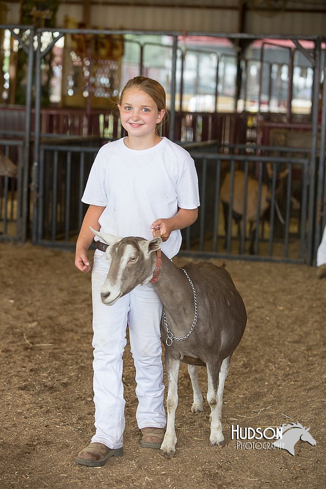 LCFAIR15-0980.jpg