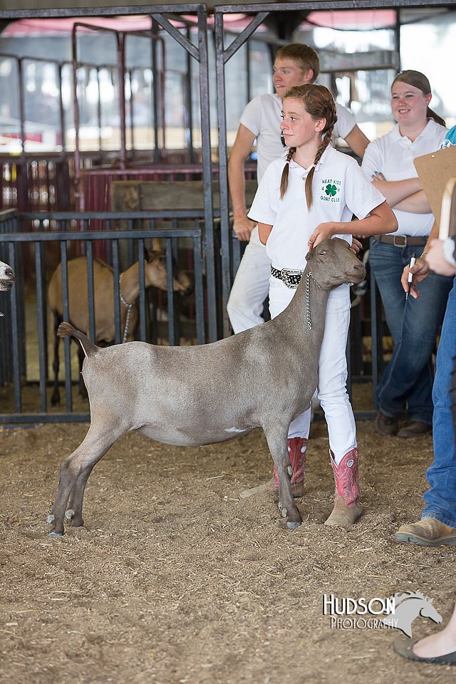LCFAIR15-0982.jpg