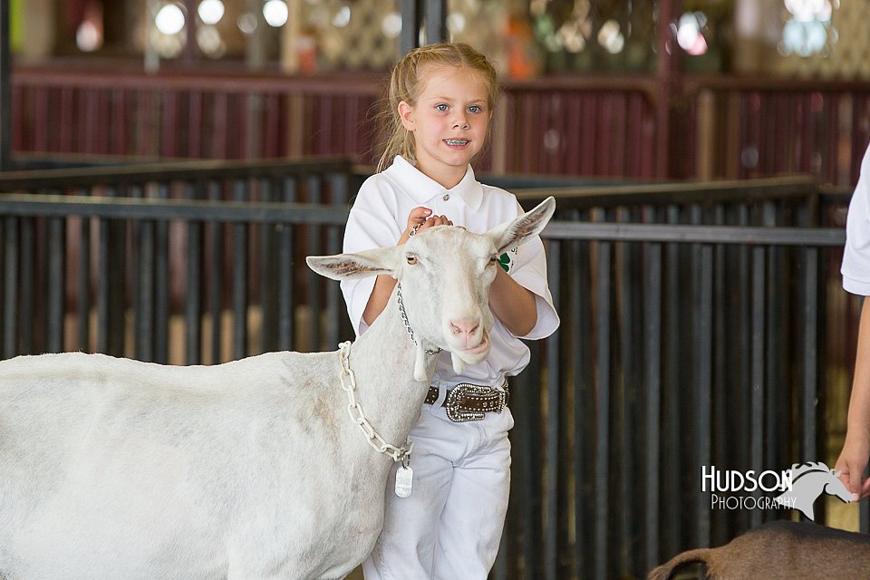 LCFAIR15-0983.jpg