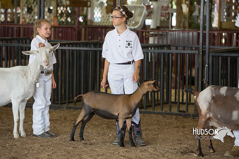 LCFAIR15-0984.jpg