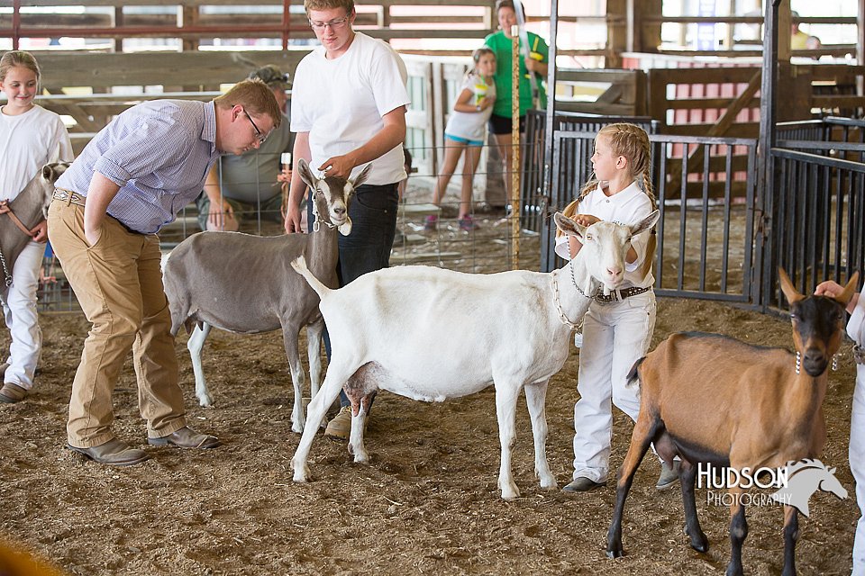 LCFAIR15-0992.jpg