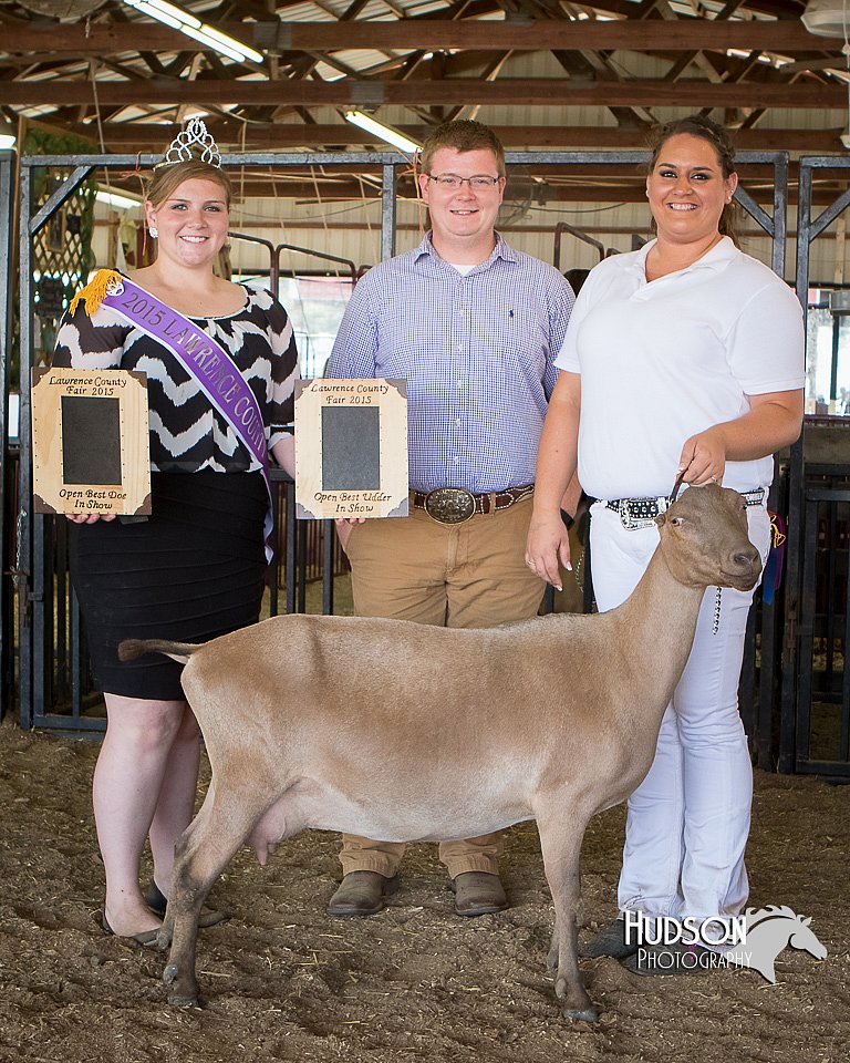 LCFAIR15-0997.jpg