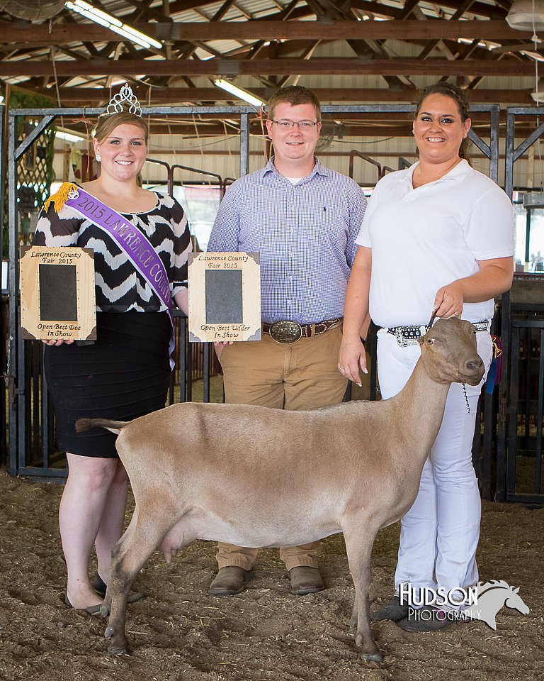 LCFAIR15-0998.jpg