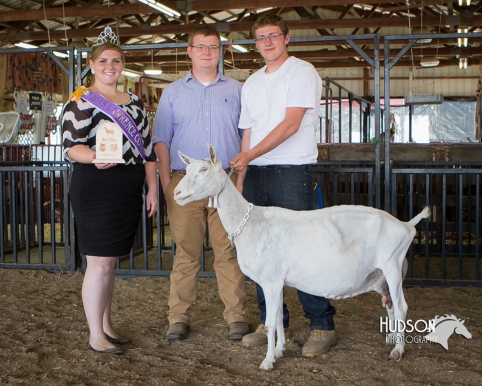 LCFAIR15-1000.jpg