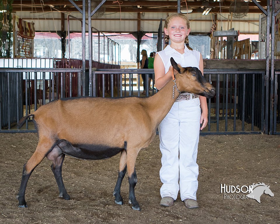 LCFAIR15-1003.jpg