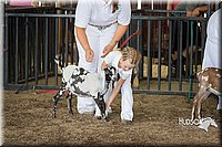 LCFAIR15-0792.jpg