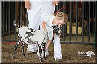 LCFAIR15-0794.jpg