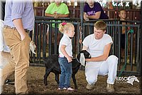 LCFAIR15-0798.jpg