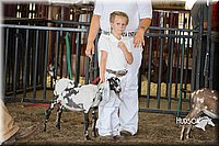 LCFAIR15-0799.jpg