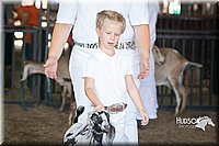 LCFAIR15-0801.jpg