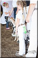 LCFAIR15-0808.jpg