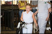 LCFAIR15-0809.jpg