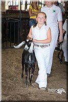 LCFAIR15-0810.jpg