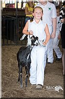 LCFAIR15-0811.jpg