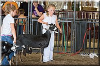LCFAIR15-0814.jpg