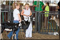LCFAIR15-0815.jpg