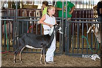 LCFAIR15-0816.jpg