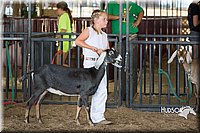 LCFAIR15-0817.jpg