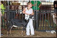 LCFAIR15-0818.jpg