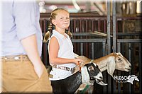 LCFAIR15-0819.jpg