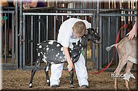 LCFAIR15-0820.jpg