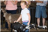 LCFAIR15-0821.jpg