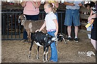 LCFAIR15-0822.jpg