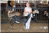 LCFAIR15-0823.jpg
