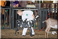 LCFAIR15-0826.jpg