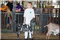 LCFAIR15-0827.jpg